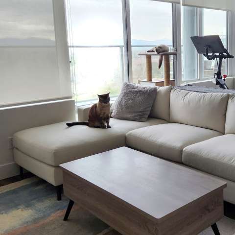 Image by KL Image by KL