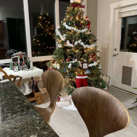 Image by Kyung In Kim Image by Kyung In Kim