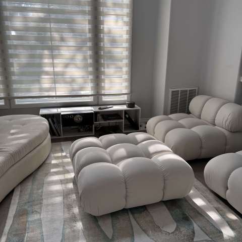 Image by Shiraz Image by Shiraz