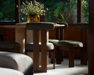 Tola Dining chair & Maximus Chair Tola Dining chair & Maximus Chair