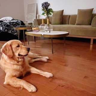 Image by @yolandahsiu Image by @yolandahsiu