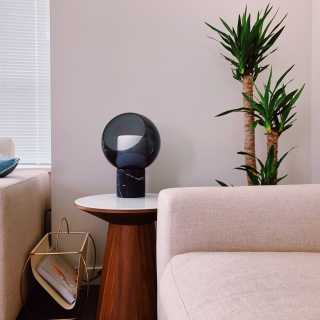 Image by Liam Image by Liam