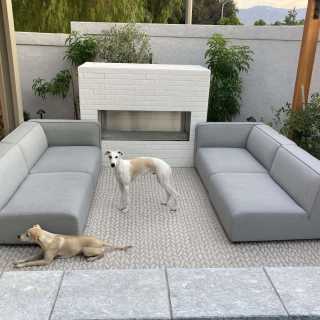 Image by Cynthia Carter Image by Cynthia Carter