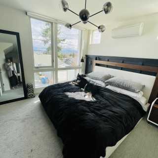 Image by Maria Tkachenko Image by Maria Tkachenko