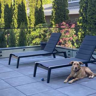 Image by Krishan Walia Image by Krishan Walia