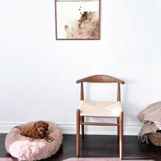 Image by Chris-Ann Ahjahorie Image by Chris-Ann Ahjahorie